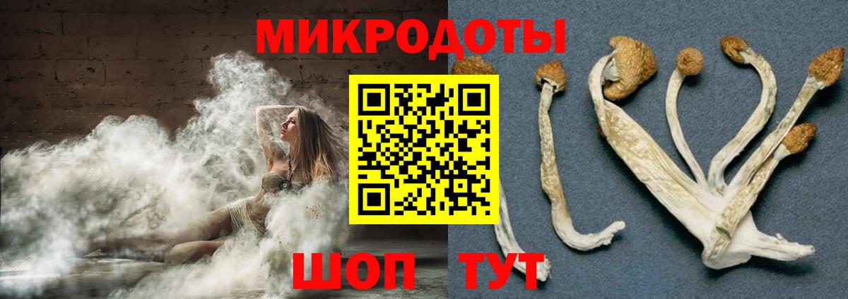 Дубна  Галлюциногенные грибы Psilocybe  наркотики  Вход с VPN  Псилоцибиновые грибы мухоморы 